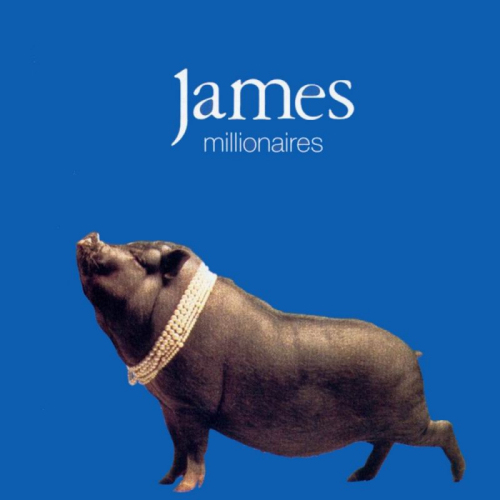 JAMES - MILLIONAIRESJAMES MILLIONAIRES.jpg